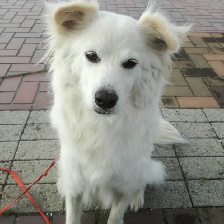 700820bc faa6 4429 8ccb ab6c7d349742 1524701533957