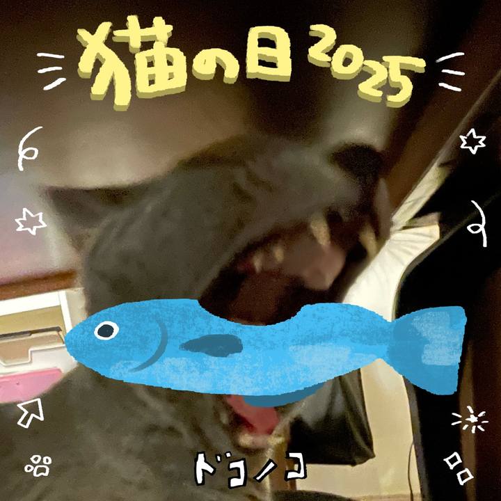 70086571 9fe2 4fe7 9ead 8ca5711adb47 1740225313799