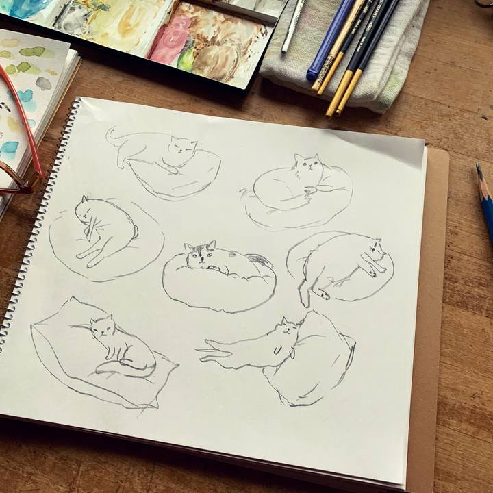 7008a027 7326 43d3 8fbb ce976c438bed 1643669956209