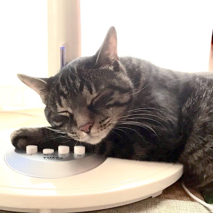 7008c0f8 eba4 457a b6cd 38074de73675 1566559264055