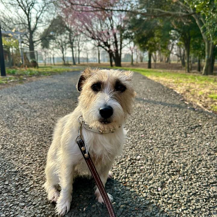 7008cef6 5fd3 4a0b a7d4 90ba172df2f1 1742935964745