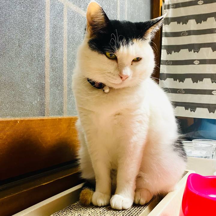 7008faae 92f9 46e1 9ac6 ea15876487cc 1685914372082