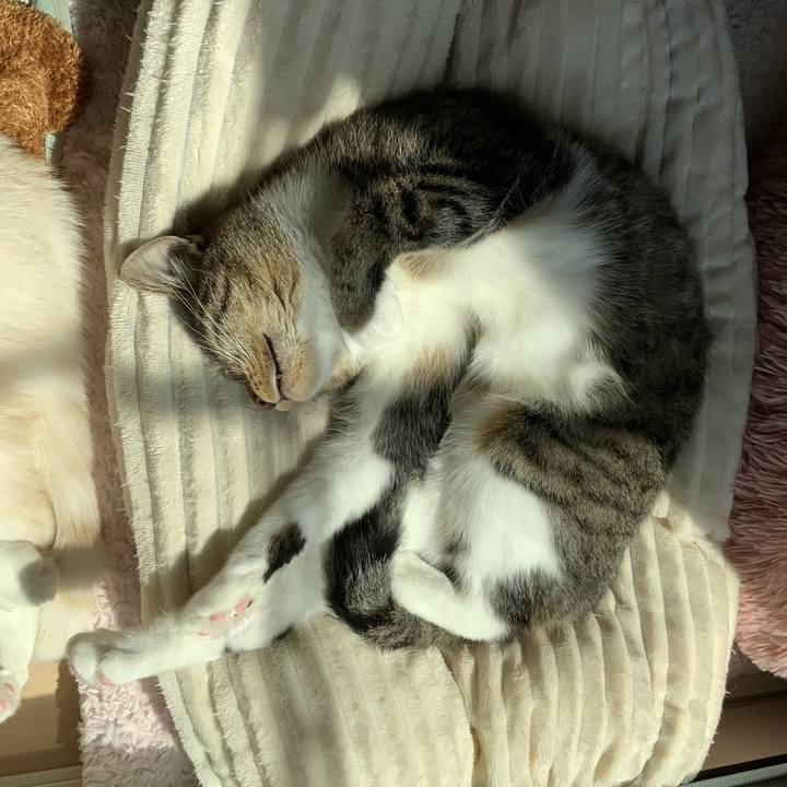 700903f4 c5f2 4744 b5a5 013be6c87881 1683161210162