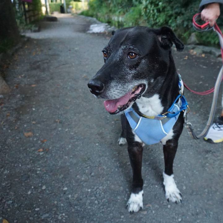 70092730 efc0 4137 bfe6 775a1832b179 1755909256055