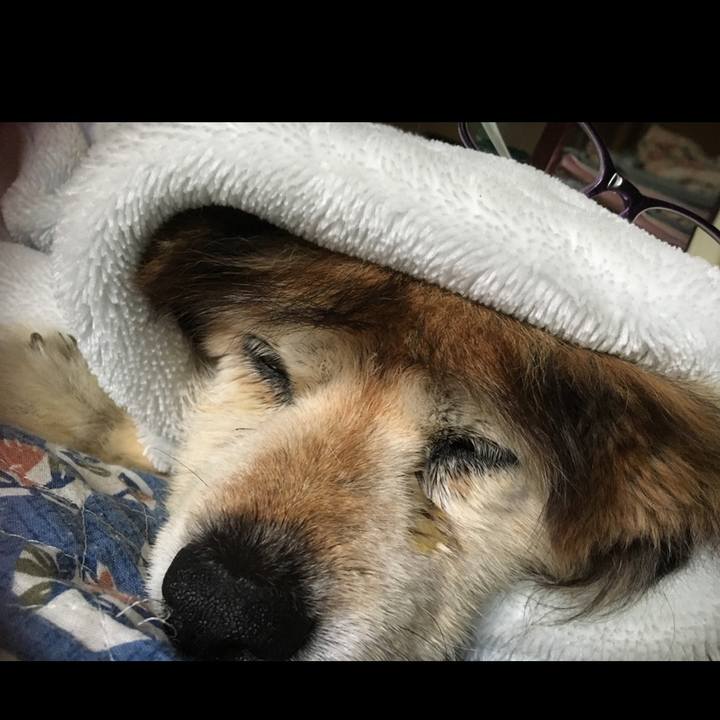 70096f2d 8109 4abd b675 d6282edc328b 1642720999546