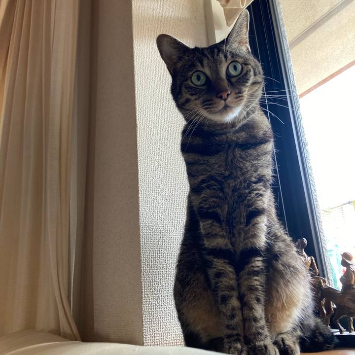 70098e48 ddc5 4fcd a72b 63280bea6b9d 1664685692840