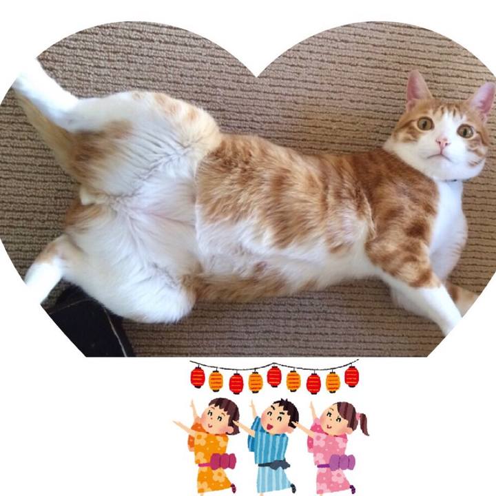 70099668 9e34 4897 b1b7 60173752c825 1558785725922