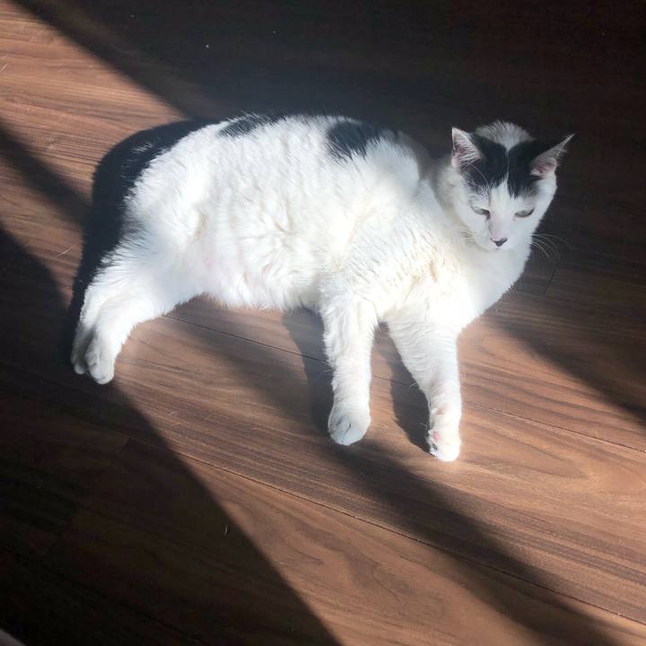 7009f9c1 9171 4d5d adbd 19775da5b8d7 1590307018766