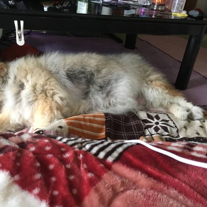 700a0979 2d07 4ca2 bbab 9f189b733deb 1589807636411