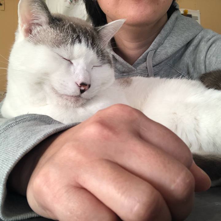 700a4a18 f0be 42b0 8be7 8d04b108f70f 1574301779073