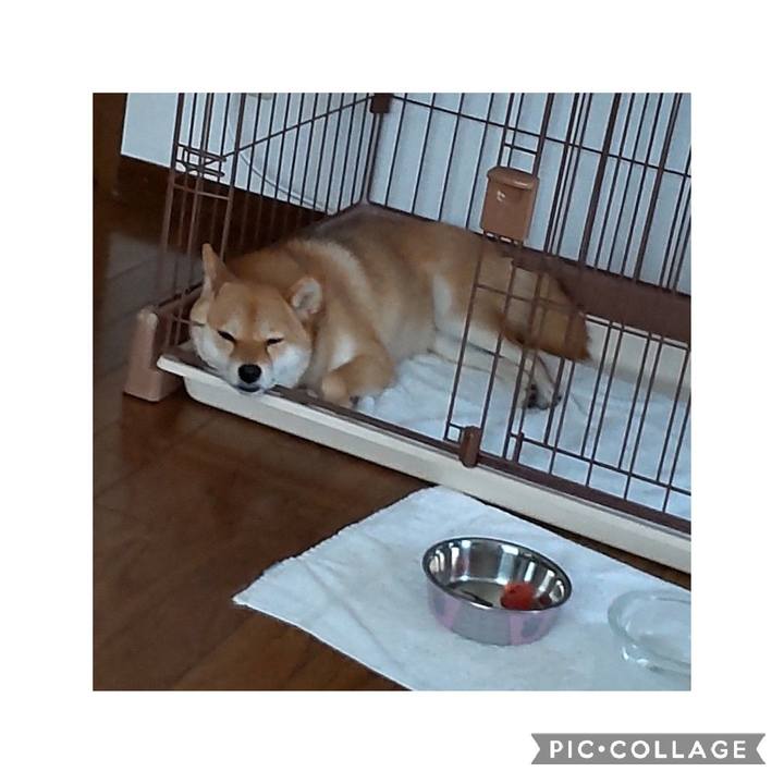 700a63d9 27ca 4fe2 8521 7216114cc273 1659426819169