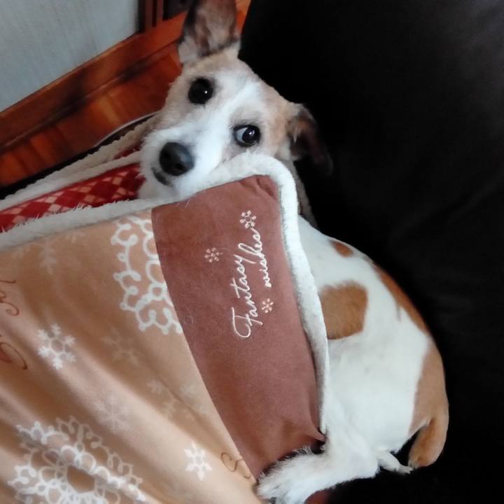 700a733c 60b5 4d59 b5b4 55fdad16b22b 1560338077953