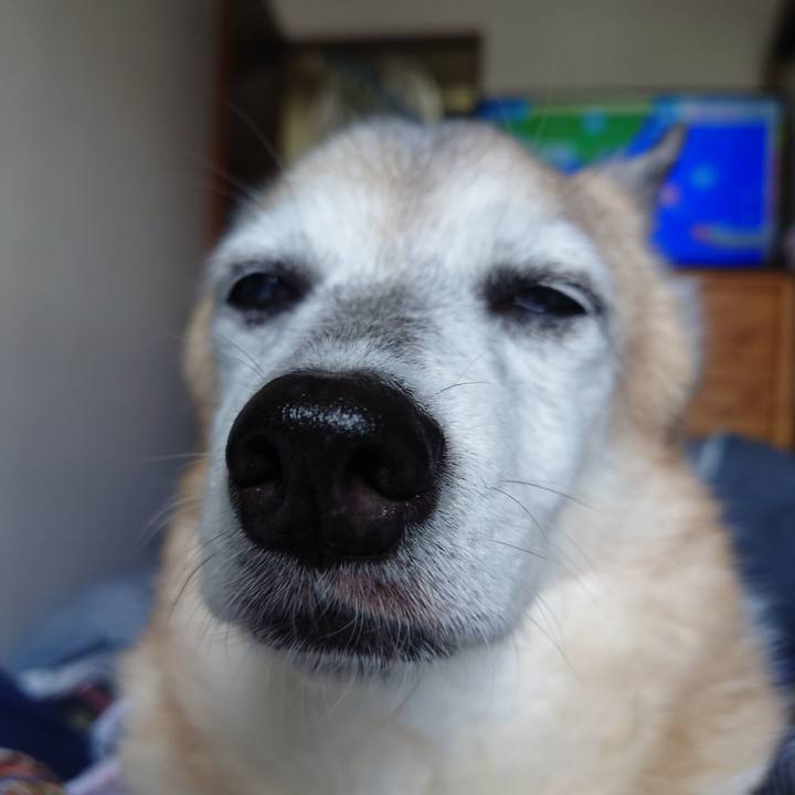 700a8488 b97c 4135 879b 4d7e849f71c8 1724133128341