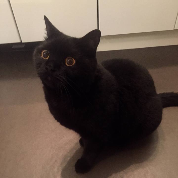 700b032c 6fe8 42f1 8da5 ee87d5a1630a 1592574141951