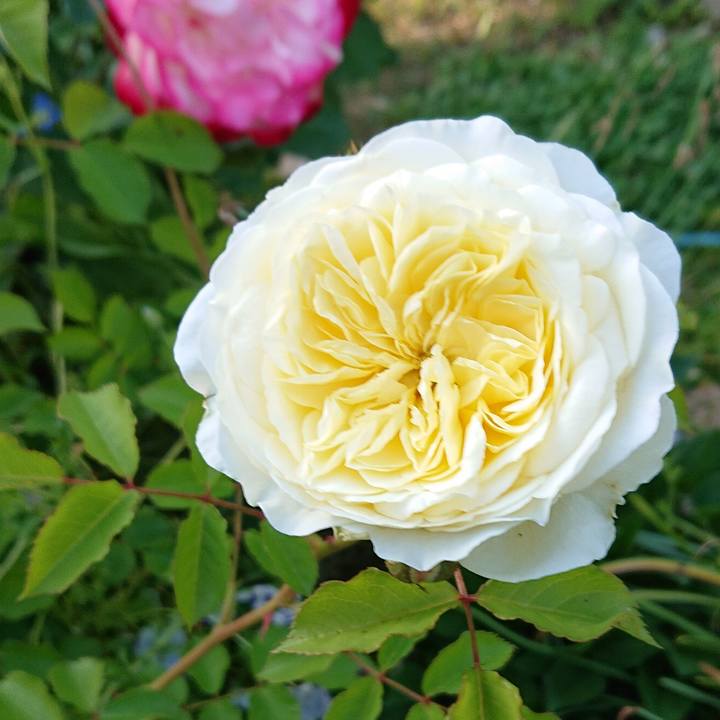 700b1039 43e3 4978 97c2 c9b4faebf204 1620361122516