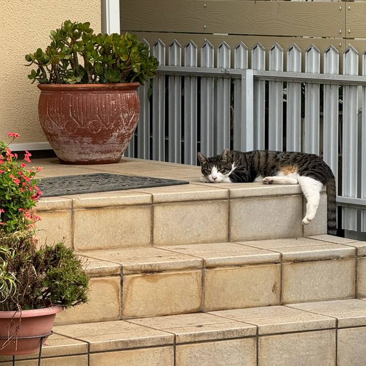 700b182c 9e9e 4d5c 98d3 a6dd0034b407 1754431578319