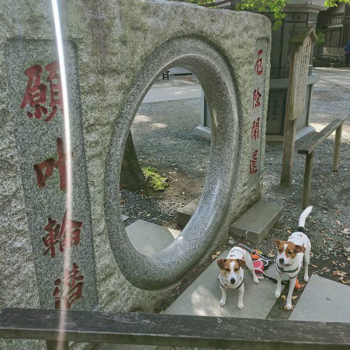 700b6ebc 7041 4229 818a f8809e001ee1 1761725225820