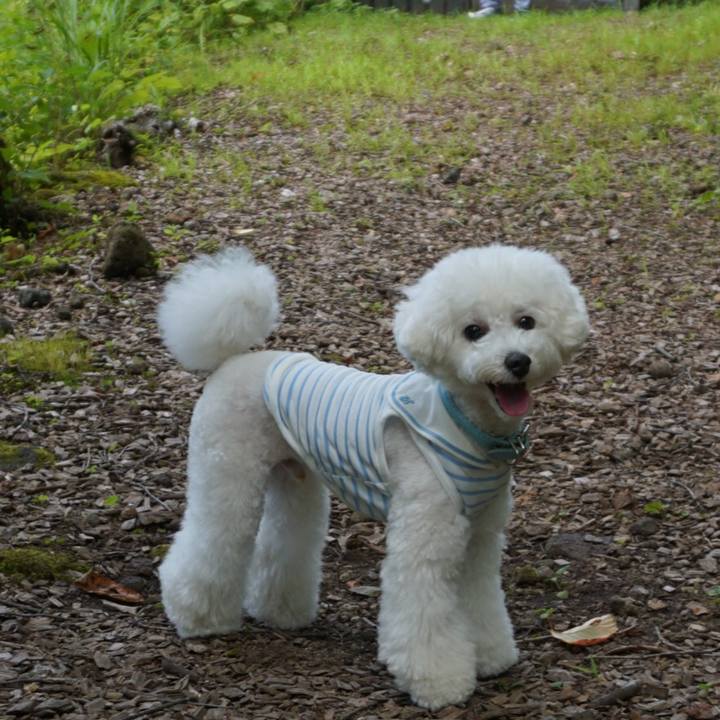 700ba264 fd29 4d2b 9375 c4c707e39636 1536470445051