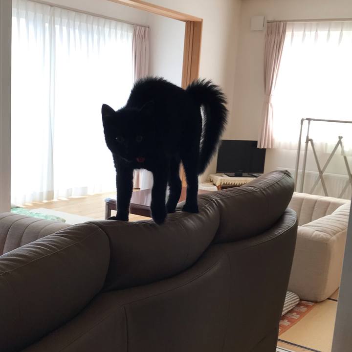 700ba946 c04a 4727 bc9f 00ce1417ccbc 1663483464429