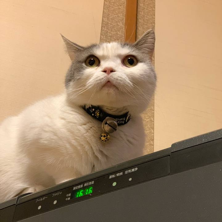 700bcc08 a0c2 4cc3 8ee0 3ff2afadcb97 1710722542131