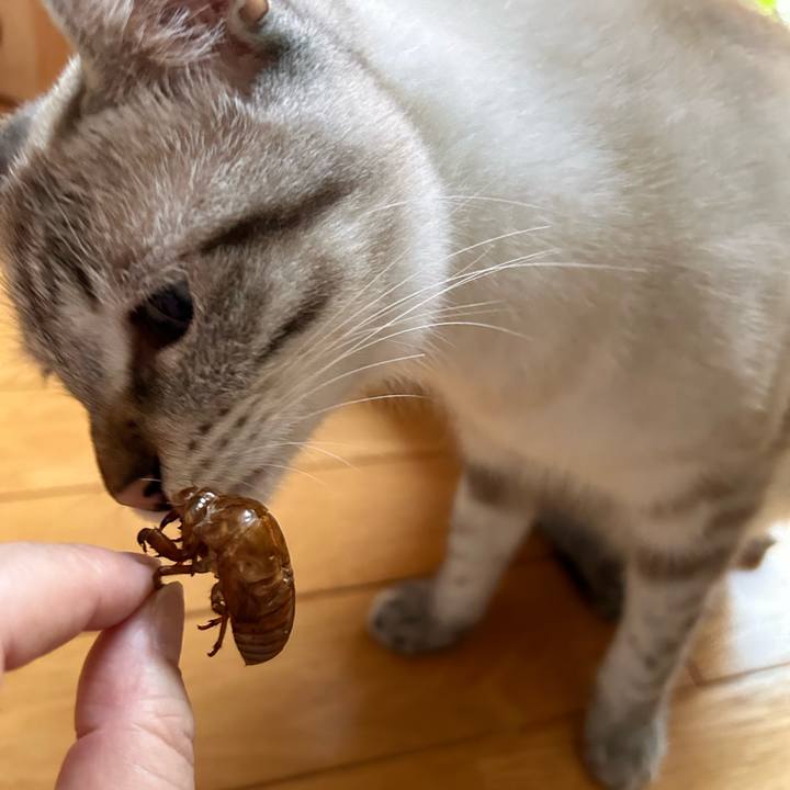 700bf873 41a3 4596 977b 8b201cc143ed 1752614607831