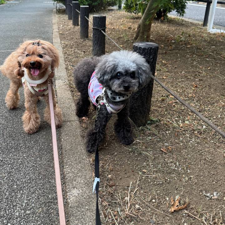 700c017a ceee 43b3 81b5 44715be9fe6f 1756769141852