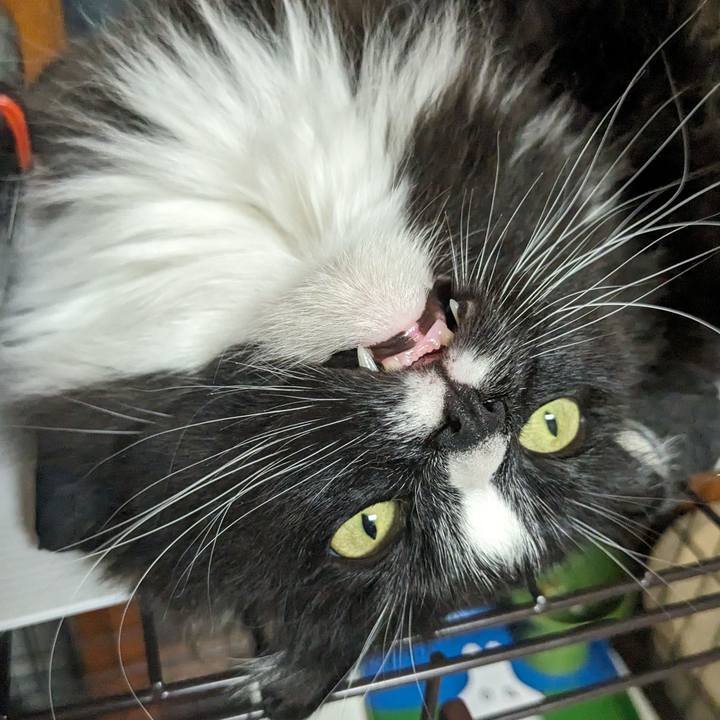 700c20d8 58c0 4684 8bcd 5bec841fa4a0 1716709993861