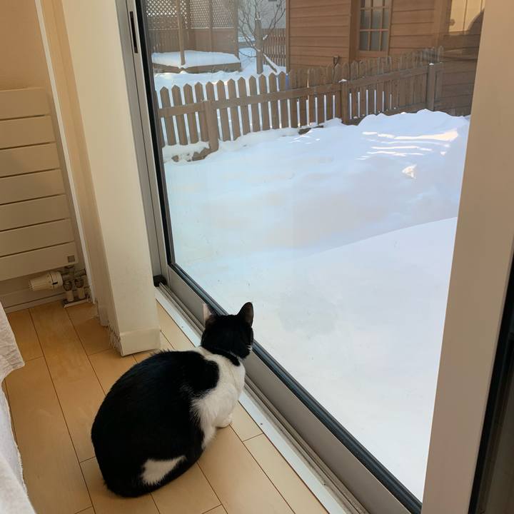 700c3917 a63b 4c3e 802a b8c10a341925 1640387990652