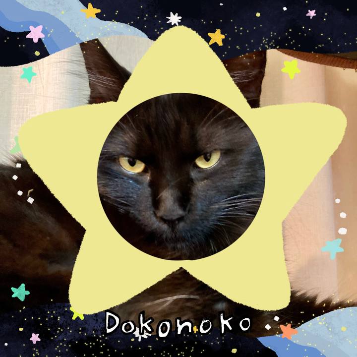 700c5a90 80fa 4e56 96ae 3a6107adacf0 1720922917342