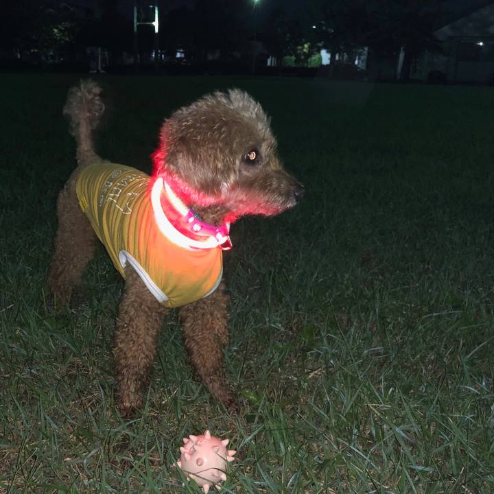 700c8787 30ed 4585 ad0c 858abfa086e9 1568812537093