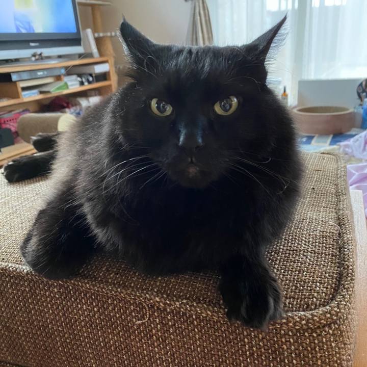 700c8c56 6532 4cf3 8686 5f289eafd378 1605509549741