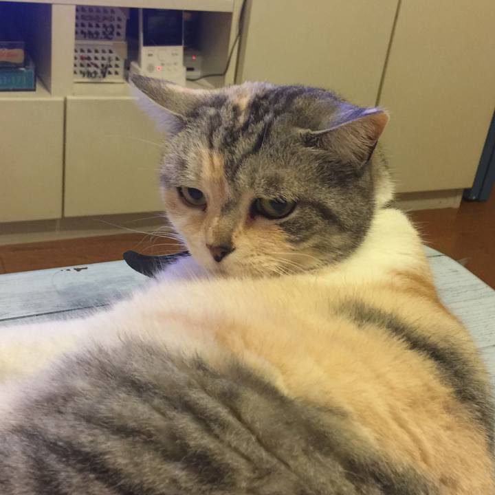 700c8d43 ee99 4e66 b197 1aefc9f7665d 1557415835627