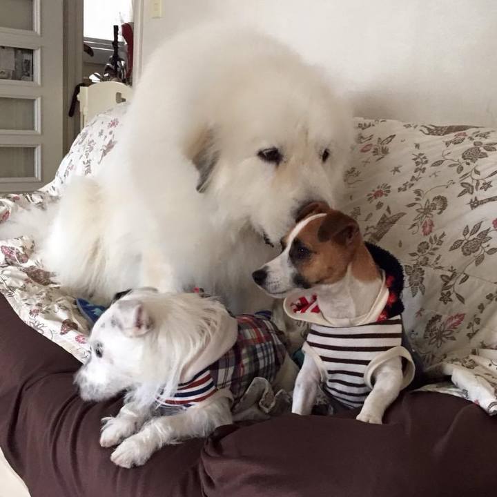 700cbdc4 631d 4fa7 9062 2a5f710bf3de 1727350109312