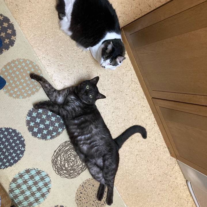 700cbecd e8b3 4b1e 8d12 c02146bd9e9d 1706487507900