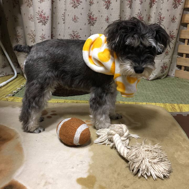 700cbf58 eace 4661 9d6d af6b350fb0ae 1514293249909