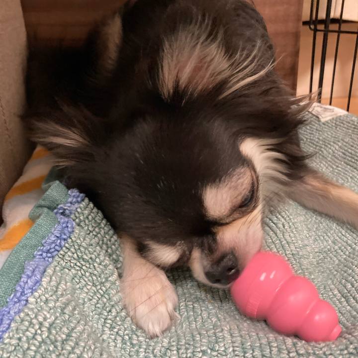 700cc22d 94d7 4be5 b8de 503986dc9432 1662298003590