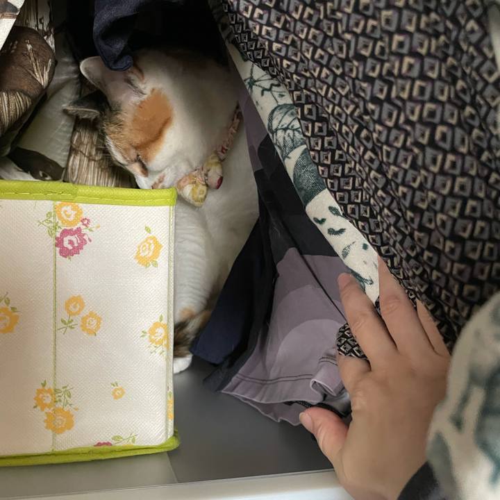 700cf6bc 39c9 4416 9ebb 296b3a389886 1648164717898