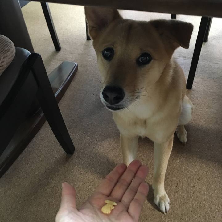 700d2509 5590 476b aa68 f26118da0ece 1523771800139