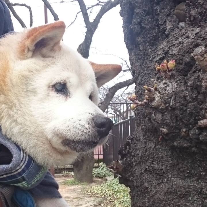 700d68e5 f113 45eb 8b8a 8eb5f259a6f1 1520648338265