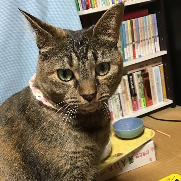 700d7297 8cda 4bfa b035 385afd217044 1698489863348