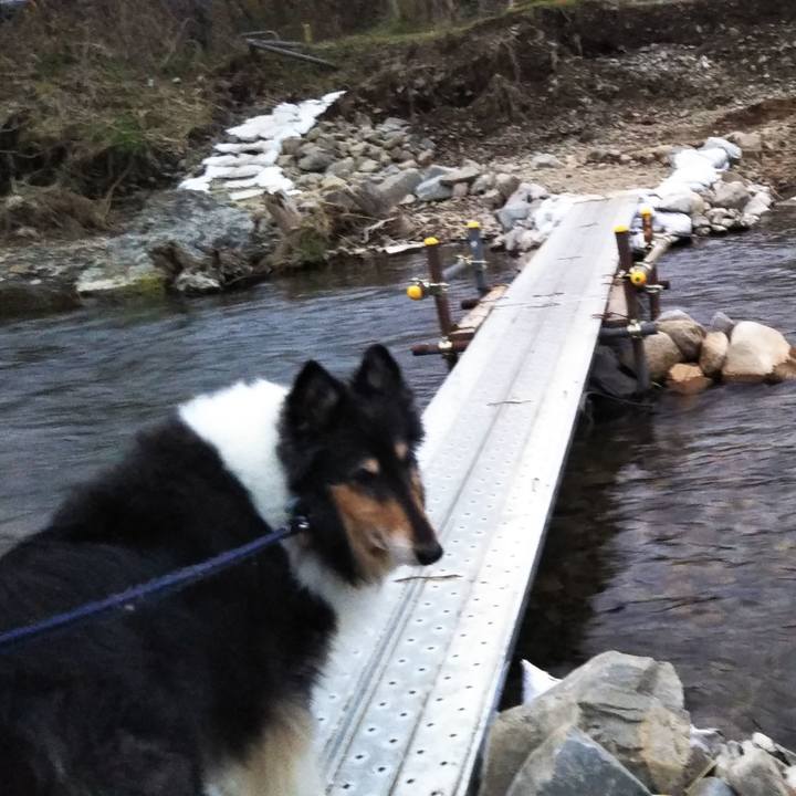 700d74c0 912e 49f5 b0e0 1fbeb656b76f 1576574751635