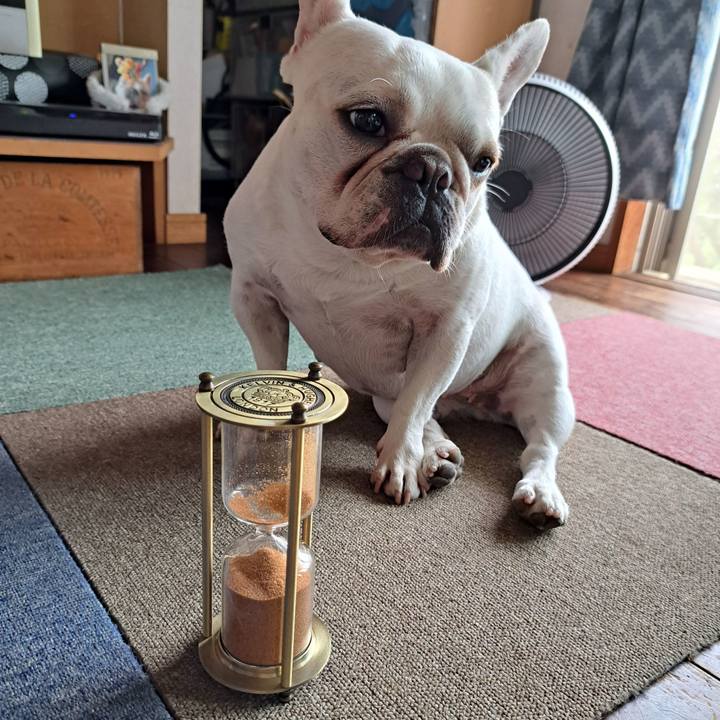 700d7fc7 2259 4c90 b763 2a452a2e13b0 1689378040877