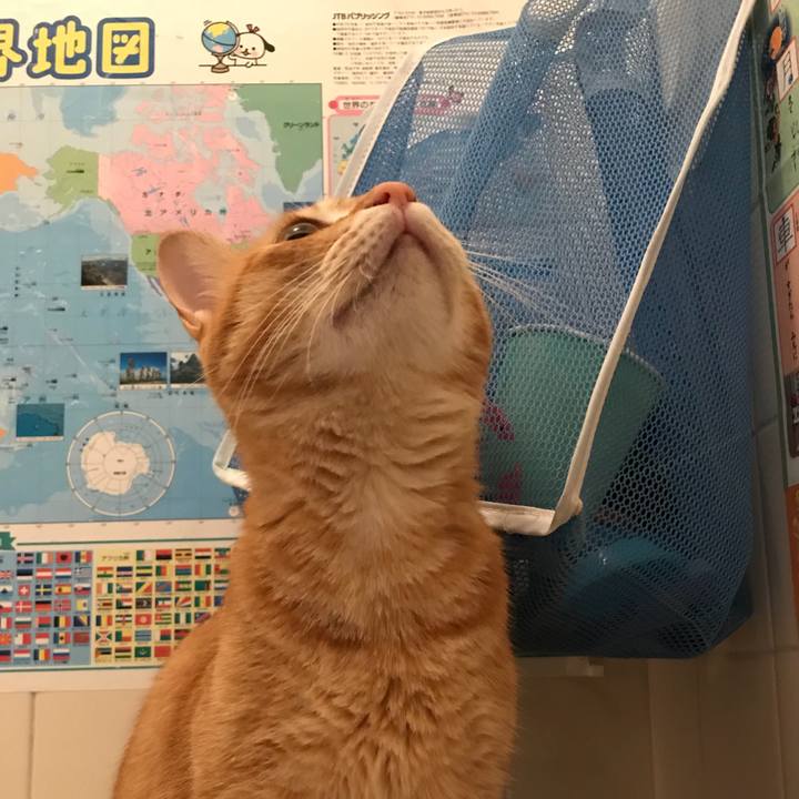 700dfcbc 1ba9 4dc8 b8d1 9e904ef3178b 1530976424009