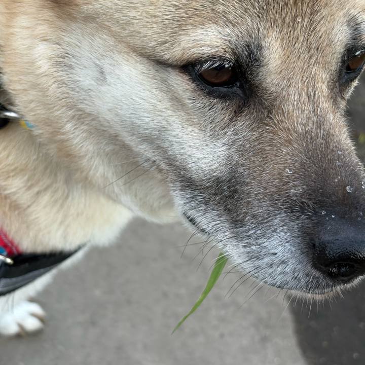 700e0779 16d9 4a29 a670 4d11fdbbc5c0 1748261871894