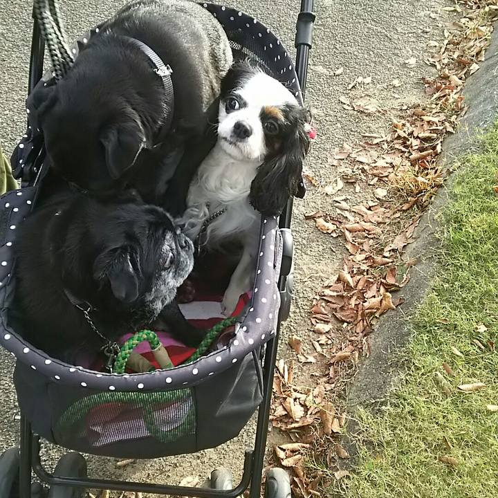 700e09b1 4880 4a23 be38 5deb9442fbb0 1540020497326