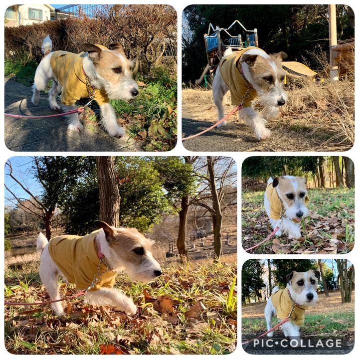 700e573a d298 4b25 b001 621afe1c8b5e 1610526446185