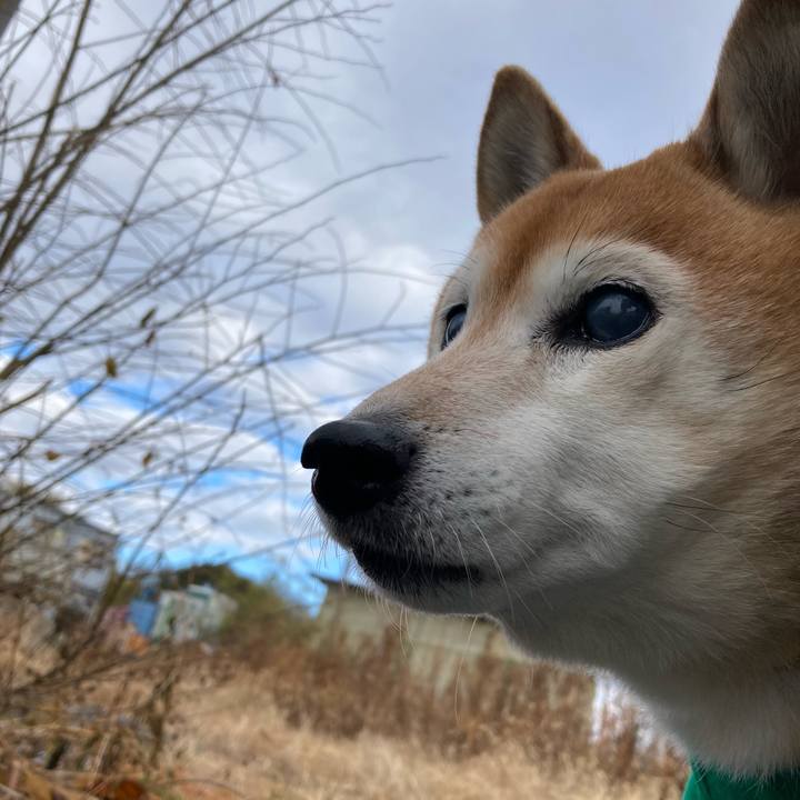 700e793e 5305 41af 82f1 6330a7321b32 1736216081774