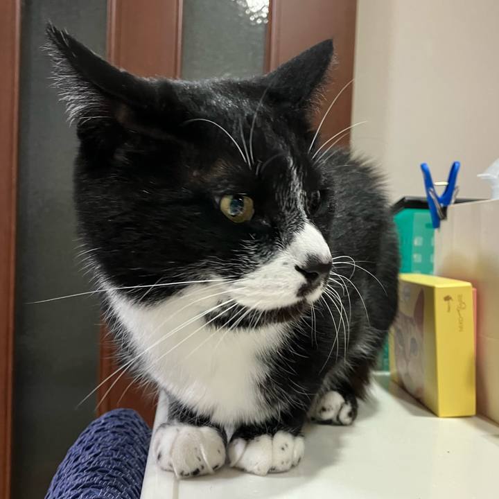 700ef903 809d 4833 a184 b1798f1a9641 1680578859801