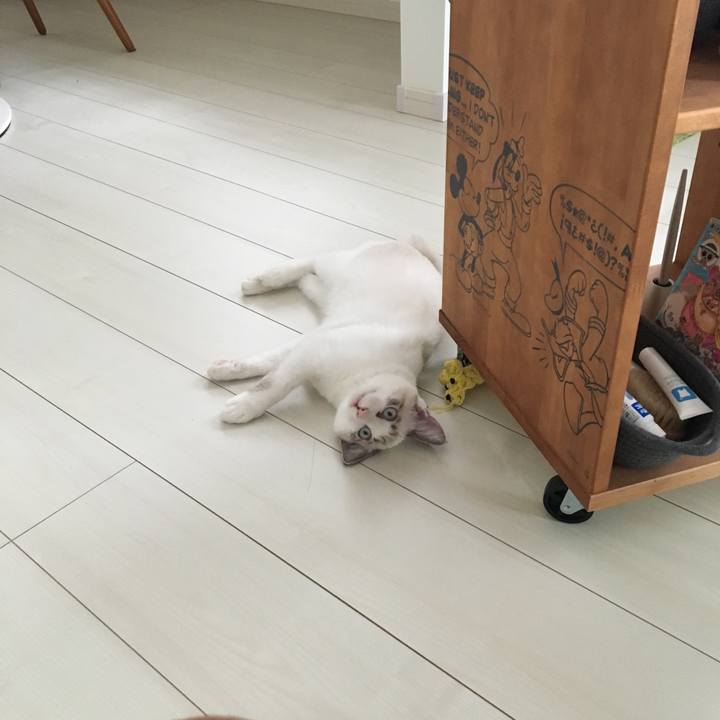 700f1aa0 6ce9 4c1e 9b74 75afe8974cd0 1511060499540