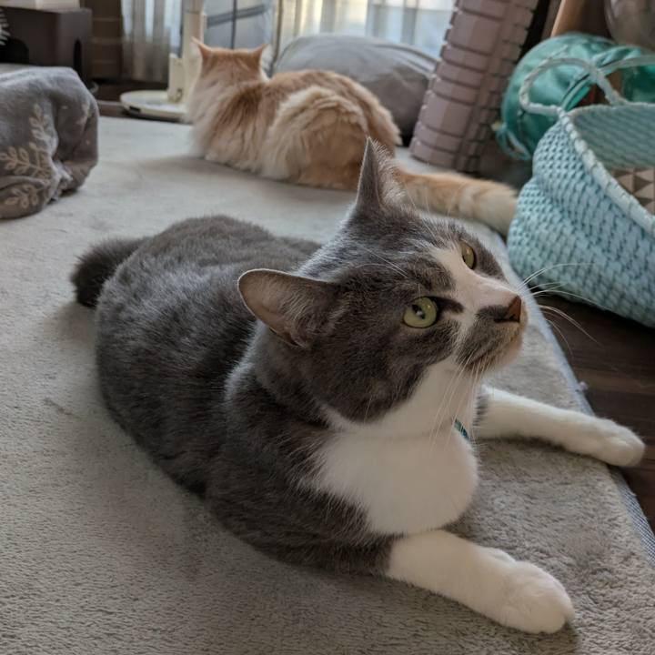 700f432f cb70 42ef 961e da0cd5300d1c 1742887890154